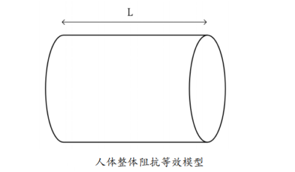 脂的？数据准确吗？一起来了解瓦利棋牌体脂秤是怎么测出体(图3)