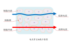 脂的？数据准确吗？一起来了解瓦利棋牌体脂